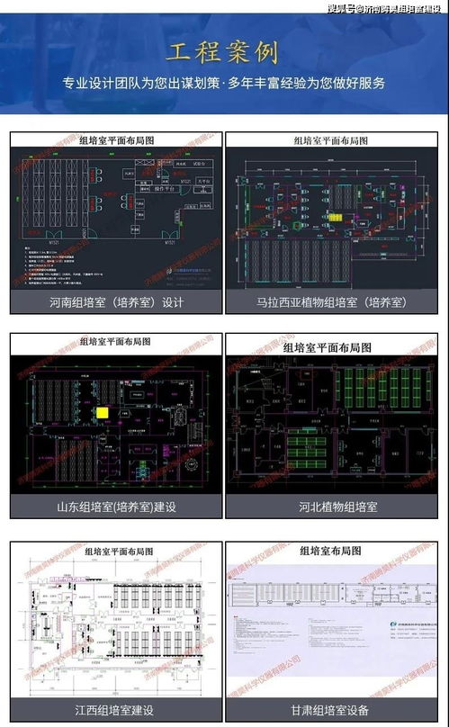 河北紅薯與甘薯組培室設(shè)計(jì)圖、設(shè)備配置及計(jì)算機(jī)軟硬件輔助方案