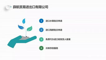 獨(dú)家分享 薛航物流綜合貨運(yùn)代理一站式服務(wù)，高效裝卸搬運(yùn)助力企業(yè)騰飛